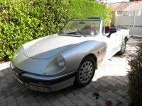 Spider Alfa